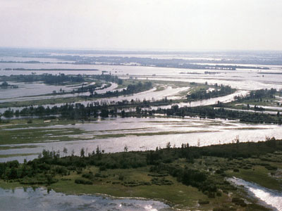 The floodplain of the Iugan Ob River