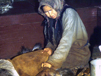 Woman Preparing Moosehide